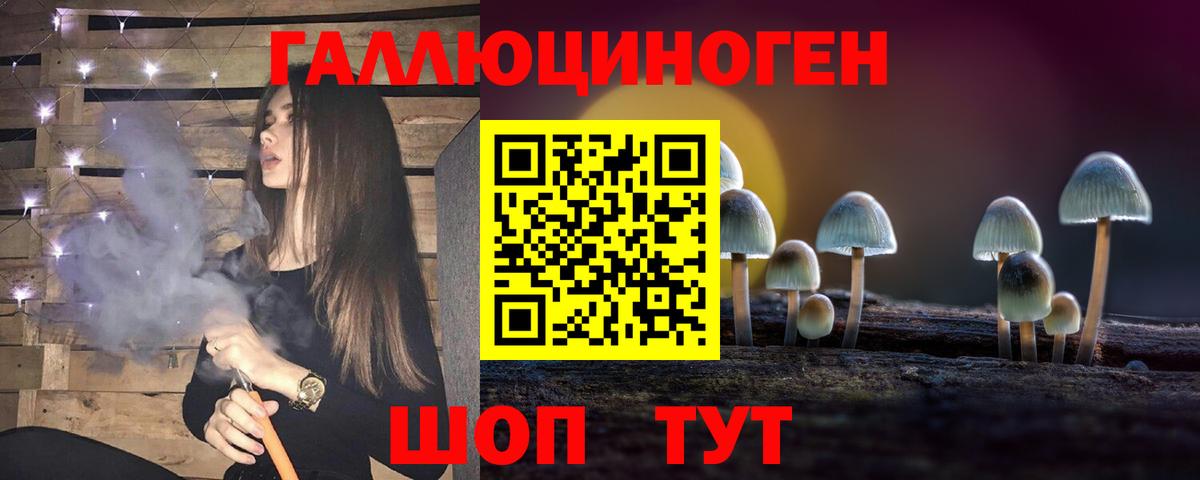 Галлюциногенные грибы Psilocybe Ефремов