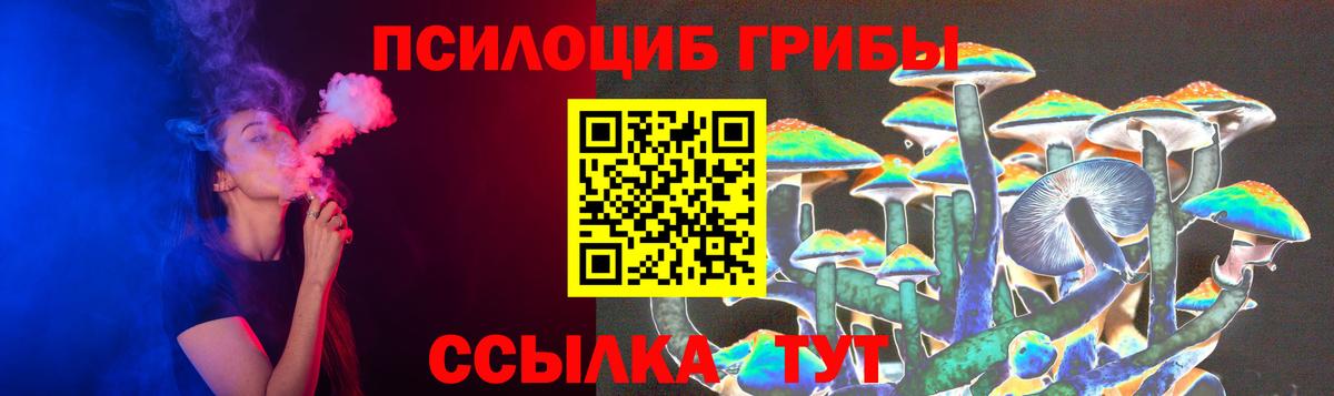 Ефремов  Галлюциногенные грибы Magic Shrooms  Вход с VPN 